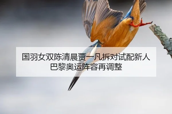 guo-yu-nv-shuang-chen-qing-chen-jia-yi-fan-chai-dui-shi-pei-xin-ren-ba-li-ao-yun-zhen-rong-zai-tiao-zheng-2-802.jpg